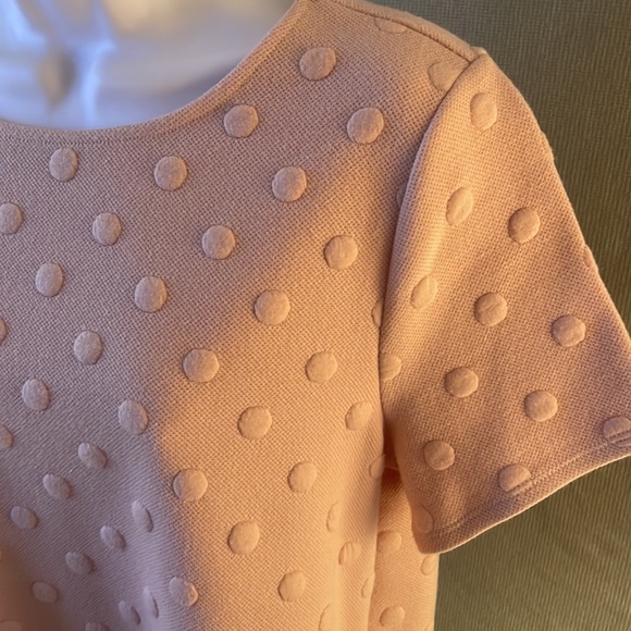 W5 size M pink dusty rose color dotted short sleeve knit top - Picture 3 of 12